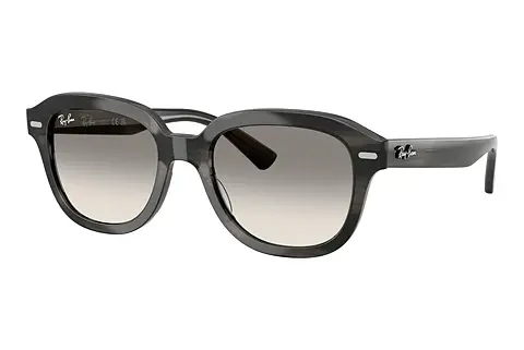 Sonnenbrille Ray-Ban ERIK (RB4398 140432)