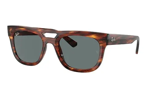 Sonnenbrille Ray-Ban PHIL (RB4426 139880)