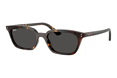 Sonnenbrille Ray-Ban ZAYA (RB4456 135987)
