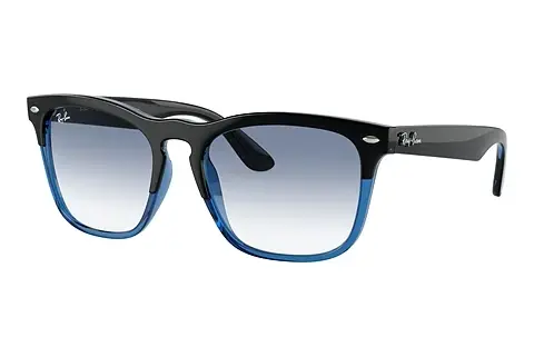 Sonnenbrille Ray-Ban STEVE (RB4487 663219)