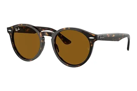 Sonnenbrille Ray-Ban LARRY (RB7680S 902/33)