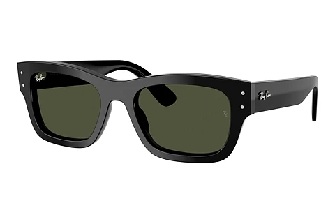 Sonnenbrille Ray-Ban JOSEPH (RB7683S 901/31)