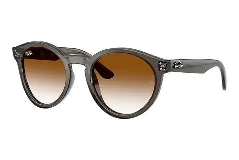 Sonnenbrille Ray-Ban RBR0505S 6707CB
