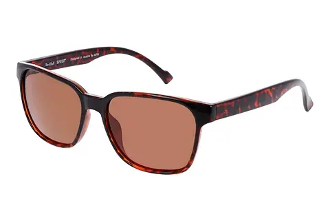 Sonnenbrille Red Bull SPECT CARY_RX 003P