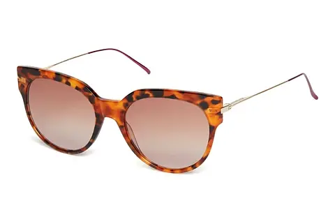 Sonnenbrille Scotch and Soda 507005 104