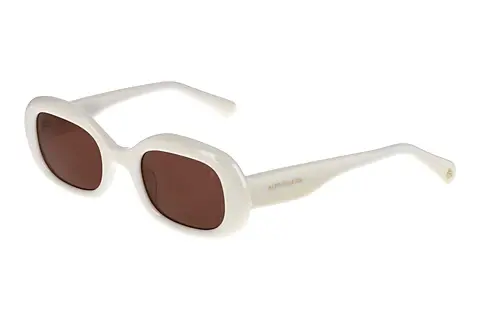 Sonnenbrille Scotch and Soda 507043 801