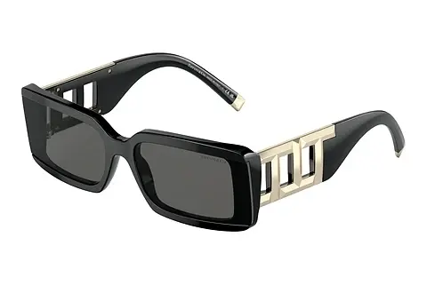 Sonnenbrille Tiffany TF4197 8001S4
