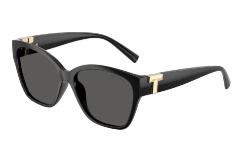 Sonnenbrille Tiffany TF4254U 8001S4