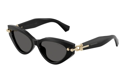 Sonnenbrille Tiffany TF4268U 8001S4
