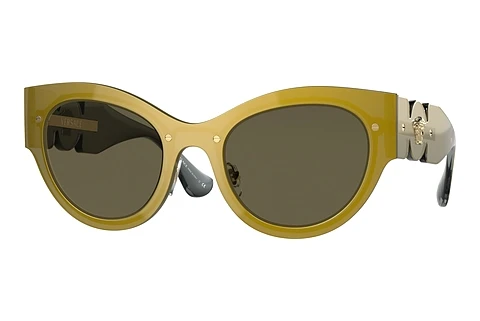 Sonnenbrille Versace VE2234 1002/3