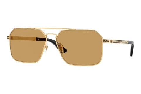 Sonnenbrille Versace VE2306 152313