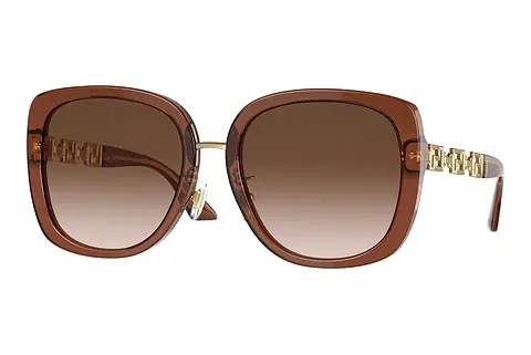 Sonnenbrille Versace VE4407D 532413
