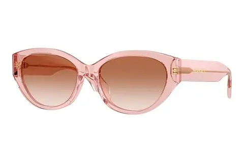 Sonnenbrille Versace VE4495D 543413