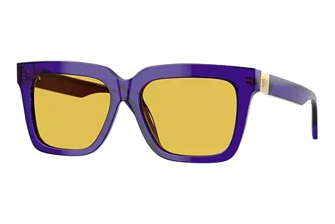 Sonnenbrille Versace VE4498 554585