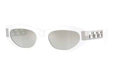 Sonnenbrille Versace VE4501 314/6V