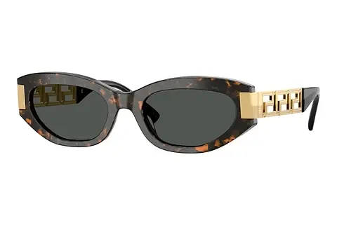 Sonnenbrille Versace VE4501 552887