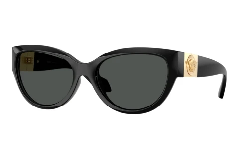Sonnenbrille Versace VE4524U GB1/87