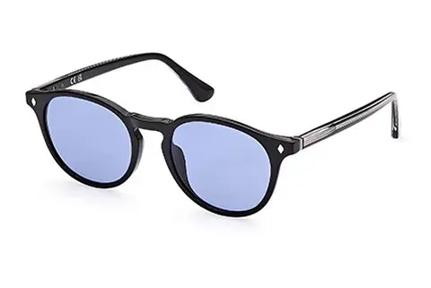 Sonnenbrille Web Eyewear WE0328 01V