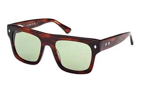 Sonnenbrille Web Eyewear WE0354 56N