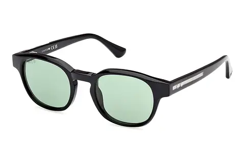 Sonnenbrille Web Eyewear WE0361 05N