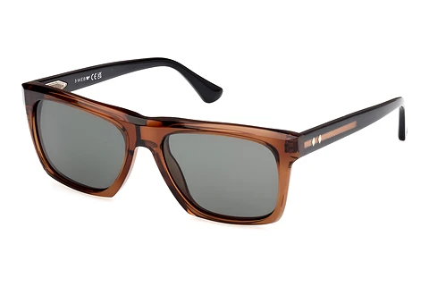 Sonnenbrille Web Eyewear WE0367 50D