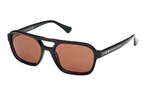 Sonnenbrille Web Eyewear WE0376 98E