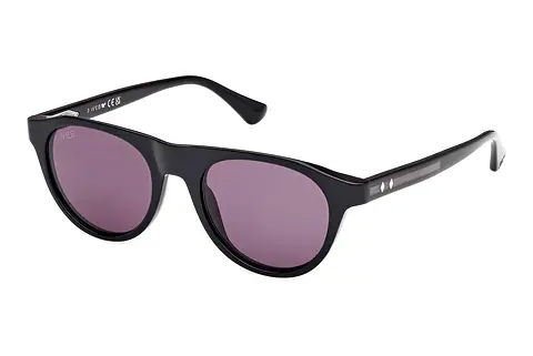 Sonnenbrille Web Eyewear WE0377 05A