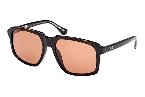 Sonnenbrille Web Eyewear WE0378 56J