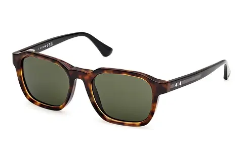 Sonnenbrille Web Eyewear WE0385 55N