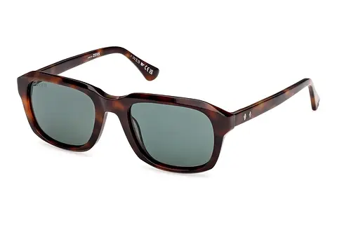 Sonnenbrille Web Eyewear WE0389 52N