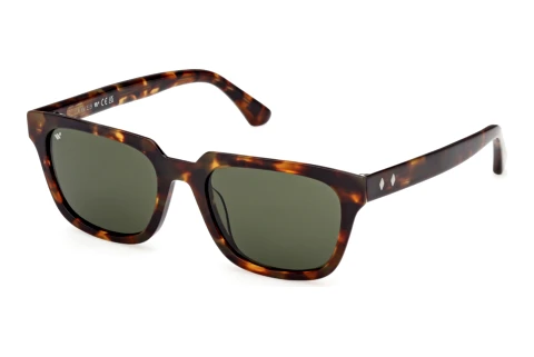 Sonnenbrille Web Eyewear WE0391 52N