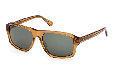 Sonnenbrille Web Eyewear WE0393 39N
