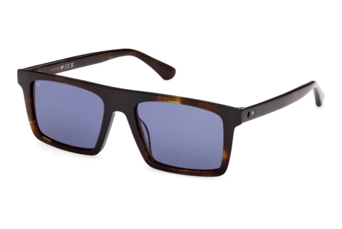 Sonnenbrille Web Eyewear WE0397 52V