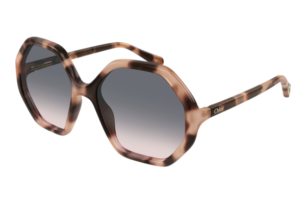 Sonnenbrille Chloé CC0004S 009