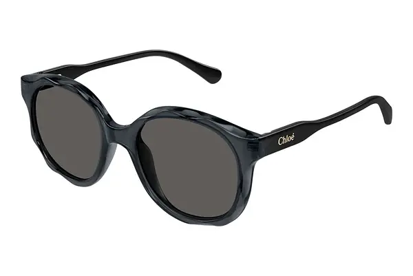 Sonnenbrille Chloé CC0019S 001