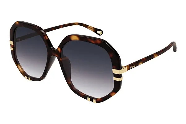 Sonnenbrille Chloé CH0105S 004