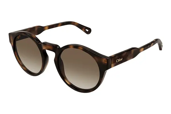 Sonnenbrille Chloé CH0158S 002