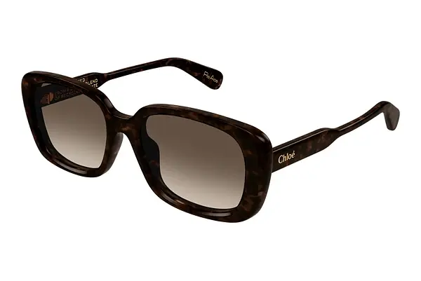 Sonnenbrille Chloé CH0225SK 002