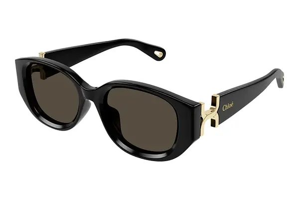 Sonnenbrille Chloé CH0237SK 001
