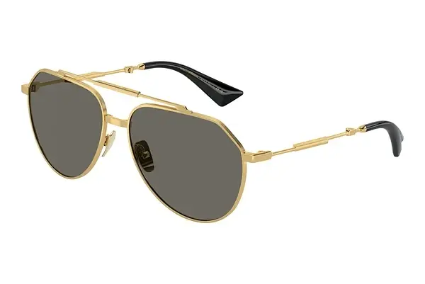 Sonnenbrille Dolce & Gabbana DG2302 02/R5