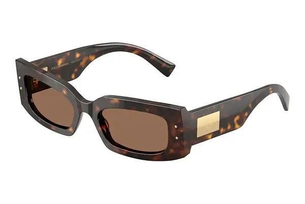 Sonnenbrille Dolce & Gabbana DG4479 502/73