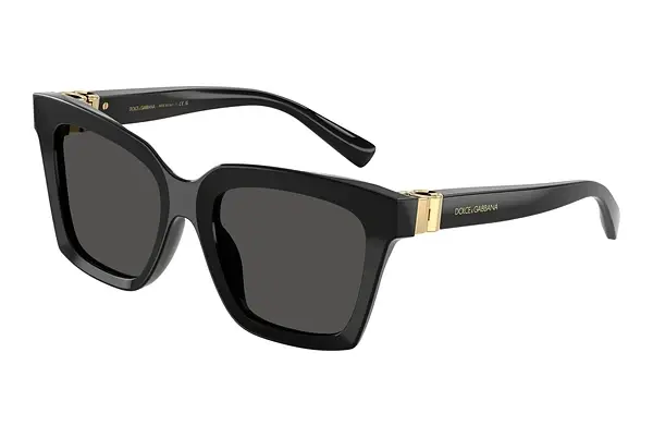 Sonnenbrille Dolce & Gabbana DG4498 501/87