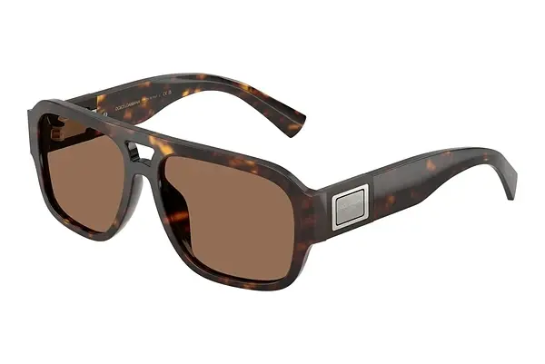 Sonnenbrille Dolce & Gabbana DG4506 502/73