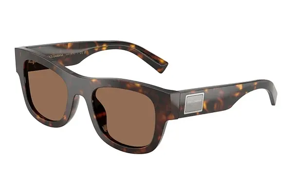 Sonnenbrille Dolce & Gabbana DG4509 502/73
