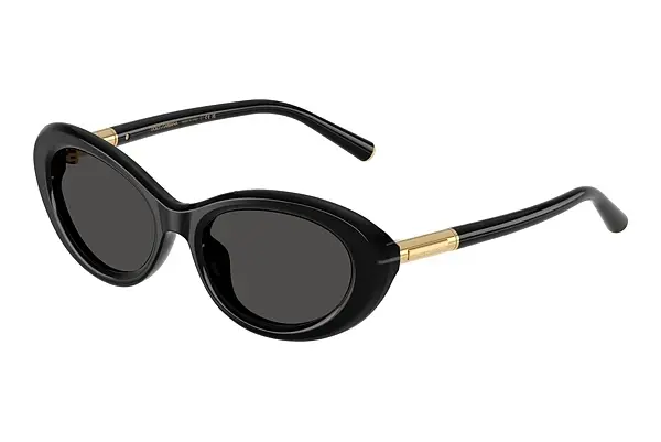 Sonnenbrille Dolce & Gabbana DG4519 501/87