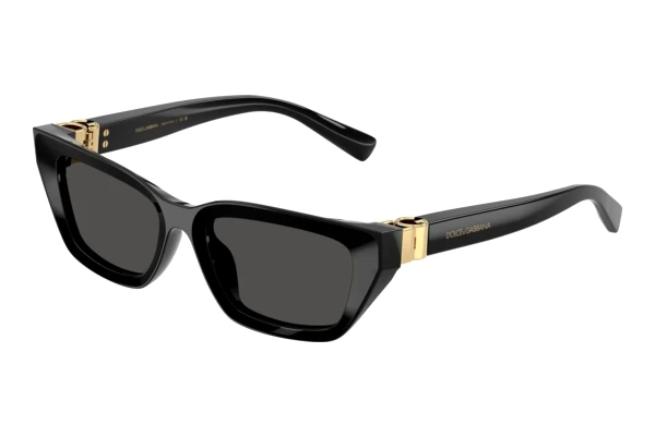 Sonnenbrille Dolce & Gabbana DG4532 501/87