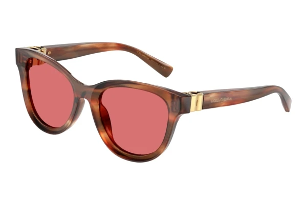 Sonnenbrille Dolce & Gabbana DG4533 322175