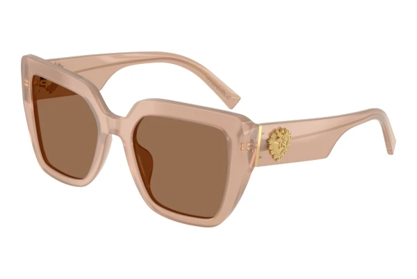 Sonnenbrille Dolce & Gabbana DG4538 304273
