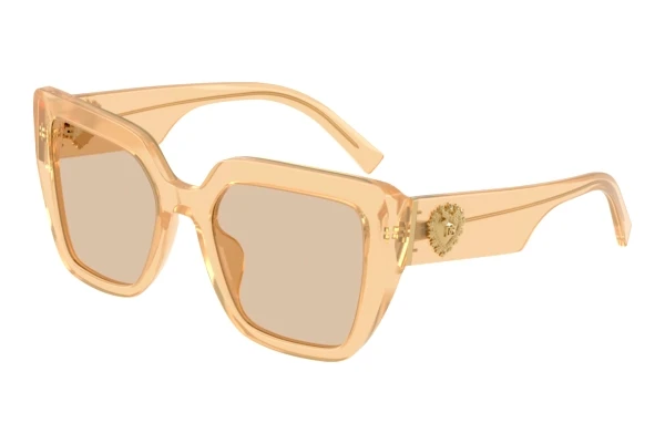 Sonnenbrille Dolce & Gabbana DG4538 308993