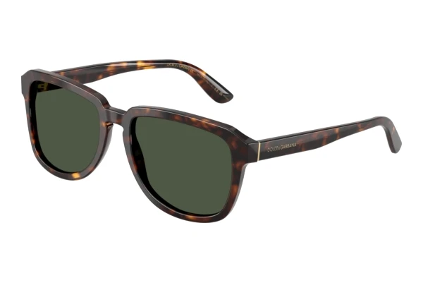 Sonnenbrille Dolce & Gabbana DG4566 502/9A